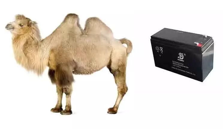 �T���Ă��á�θ��������늳ص����ú��B�o
