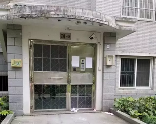 ��С�^�Ⲽ������v���참��